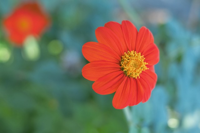 尽管萨巴伦 尽管萨巴伦