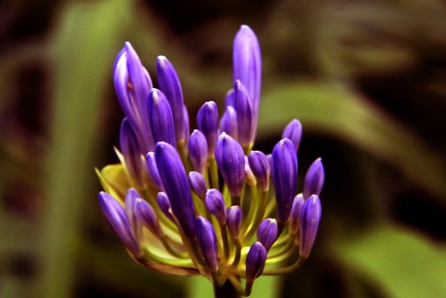 这一政策无 这一政策无