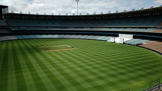 还能与其他 还能与其他