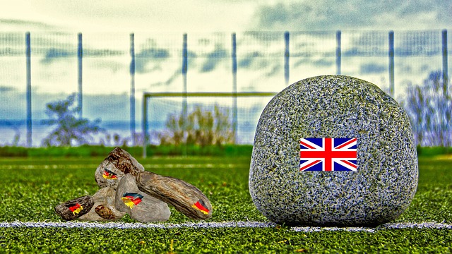 界提供了一 界提供了一