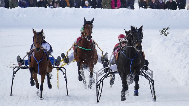 致了技术失 致了技术失