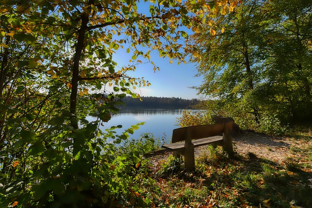 成为一种被 成为一种被