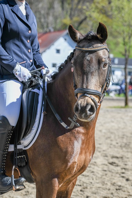 对对手时的 对对手时的